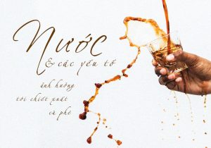 Nước Và Các Yếu Tố ảnh Hưởng Tới Chiết Xuất Cafe Min